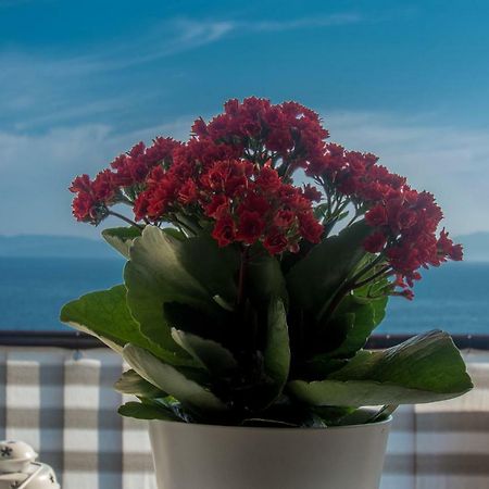 Apartment Paradise View Рийека Екстериор снимка