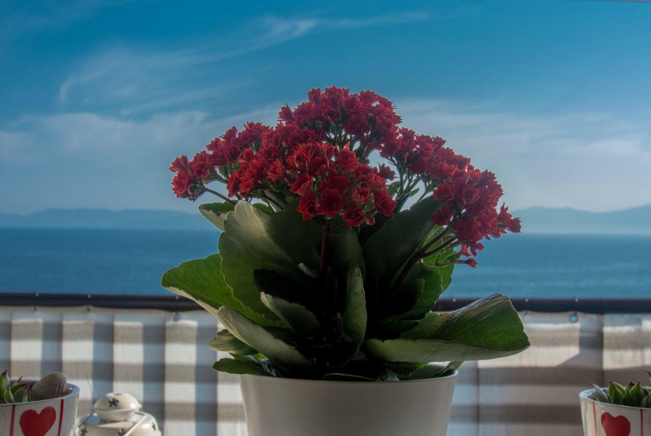 Apartment Paradise View Рийека Екстериор снимка